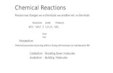 Chemical Reactions Process that changes set of chemicals into another set of chemicals Reactants yields Products 6CO 2 + 6H 2 0  C 6 H 12 O 6 + 6O 2.