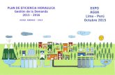 PLAN DE EFICIENCIA HIDRAULICA Gestión de la Demanda 2015 – 2016 AGUAS ANDINAS - CHILE EXPO AGUA Lima – Perú Octubre 2015.