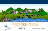 Global Peatland Initiative Grupo Páramo UICN. HAMAL Grupo Internacional de Trabajo en Páramo Ecosistemas de alta montaña de América Latina 0°0° Jalca.