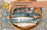 Historia misionera: Camboya ©2016 by Gospel Publishing House, 1445 N. Boonville Ave., Springfield, Missouri. All rights reserved. Permission to replicate.
