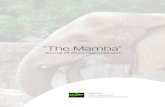 The Mamba Journal Edition 1