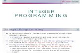 OD Integer Programming LARGE 2010