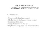 ME2 Visual Perception