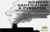 Biomass Gasification and Pyrolysis Formatted Full Report