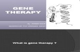 Avneet -Gene Therapy