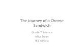 Journey of a Cheese Sandwich