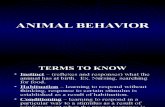Ecology( Animal Behavior)