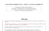 2015 UEMX 3613 Topic4-Risk Assessment (1)