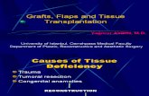 Grafts-Flaps and Tissue Transplantation