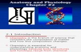 Anatomy and Physiology Chapter 2 (1)