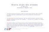 Strain, Strain Rate, Stress-2