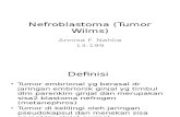 Nefroblastoma (Tumor Wilms)