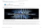 Bio Magnetic Therapy - DrJockers
