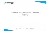New Cap04 WSUS [Modo de Compatibilidad]