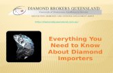 A Few Facts about Diamond Importers