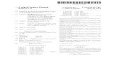 Patente - Vacuna Zika 2014