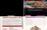 Street Fighter II The World Warrior  Snes manual