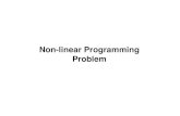 Non linear Programming Problems
