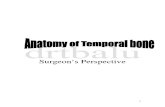 Anatomy of the Temporal Bone