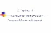 5) Consumer Motivation