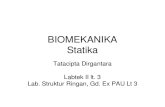Biomekanika statika