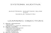 Systema Auditiva