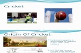 What is Cricket, An Explanation of the Game