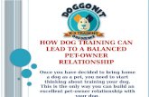 How Dog Training Can Lead to a Balanced Pet-Owner Relationship