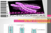 Aberraciones cromosómicas