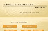 gingiva in health and disesase