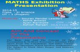 Maths Exhibition (2014-15) XI Science MS 2010 Supported.pptx