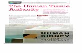 The Human Tissue Authority