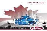 Argus Pig Valve Brochure- Rev 2012