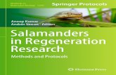 (Methods in Molecular Biology 1290) Anoop Kumar, András Simon (Eds.)-Salamanders in Regeneration Research_ Methods and Protocols