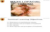 1019b Maxillofacial trauma - Eye, Ear & Nose.ppt