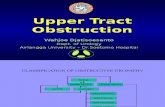 WDS Obstruksi Upper Tract Trigonum 2002