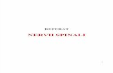 Documents.tips Referat Nervii Spinali
