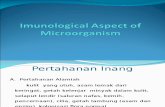 Imunological Aspect of Microorganism