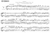 Kohler - Forty Progressive Duets for Flutes, Op.55, Part 2