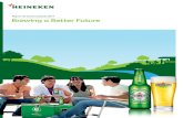 Heineken Raport DD.pdf