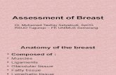Breast Assesement