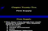 Ch22 Firm Supply