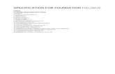 Specification for Foundation Fieldbu Essar
