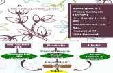 Metabolisme Lipid KEL 5