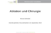 Minimal invasive Tumorablation Ablation und Chirurgie Bruno Schmied Interdisziplinäre Viszeralmedizin 16. September 2014.