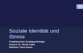 Soziale Identität und Stress Projektseminar Sozialpsychologie Dozent: Dr. Nicole Harth Referent: Petra Gaum.