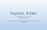 Digitale Bilder IT-Zertifikat der Phil.-Fak.: Advanced IT Basics Ein Referat von Martin Riesenweber, Carina Sperber und Julia Schulte.