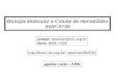 Biologia Molecular e Celular de Nematóides BMP-5738 e-mail: cewinter@icb.usp.br fone: 3091-7269 segundas e sextas – 9:00hs cewinter/BMCN