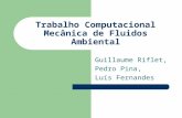 Trabalho Computacional Mecânica de Fluidos Ambiental Guillaume Riflet, Pedro Pina, Luís Fernandes.