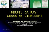 Ricardo Amorim PERFIL DA PAV Censo da CIRM-SBPT Ricardo de Amorim Corrêa Departamento de Clínica Médica - Disciplina de Pneumologia Programa de Pós-Graduação.